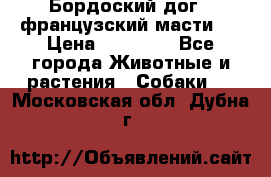 Бордоский дог ( французский масти)  › Цена ­ 50 000 - Все города Животные и растения » Собаки   . Московская обл.,Дубна г.